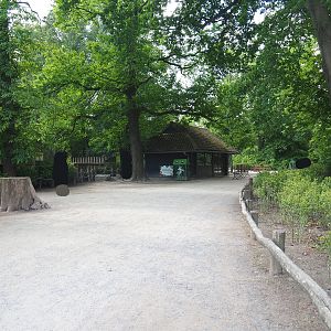 Park view near female Indian rhinoceros paddock, 2022-05-28