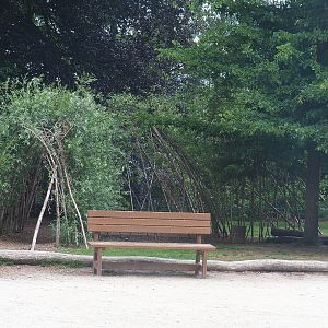 Living willow tunnel, 2022-05-28