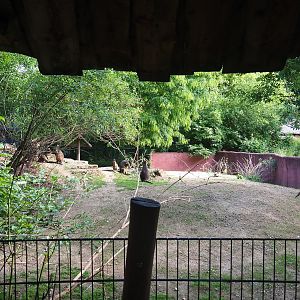 Smaller kangaroo and wallaby paddock, 2022-05-28