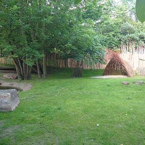 Main Emu, Eastern grey kangaroo and Swamp wallaby paddock, 2022-05-28