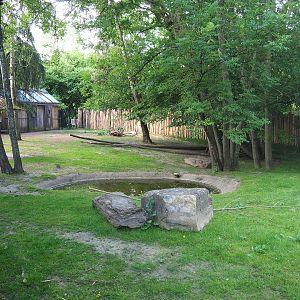 Main Emu, Eastern grey kangaroo and Swamp wallaby paddock, 2022-05-28