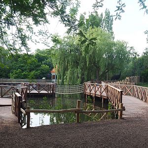 New boardwalk and play areas alongside Double-wattled cassowary exhibits, 2022-05-28
