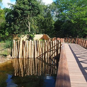 New boardwalk alongside double-wattled cassowary exhibits, 2022-05-28