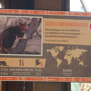 Goodfellow's tree kangaroo signage, 2022-05-28