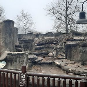 Sloth/American Black Bear Exhibit
