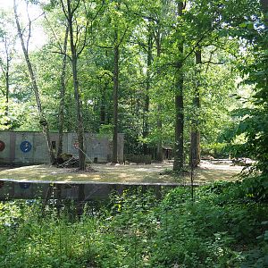 Capybara and guanaco exhibit, 2022-05-28