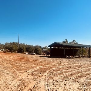 Sun shelter and feeding rack for hoofstock
