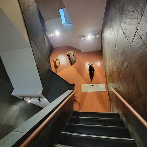 MOS Boston - Ungulate mounts in green wing stairwell