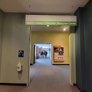 MOS Boston - Weems Sculpture Gallery, level 3