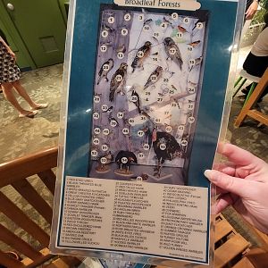 MOS Boston - A Bird's World, ID sheet