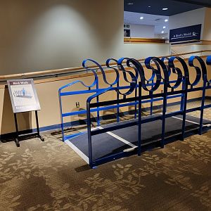 MOS Boston - A Bird's World, Bird Walk