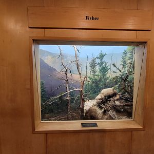 MOS Boston - Science Live! Stage area, Fisher