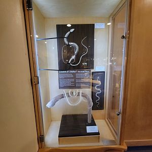 MOS Boston - Science Live! Stage area, Lizard or Snake?