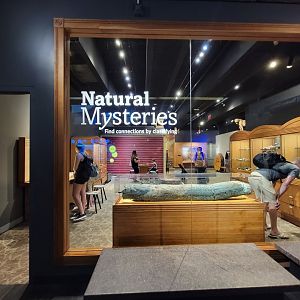 MOS Boston - Natural Mysteries, lower level