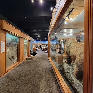 MOS Boston - Natural Mysteries