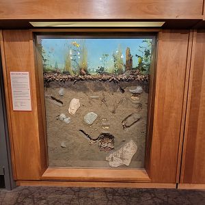 MOS Boston - Natural Mysteries, Life in the Soil, Summer