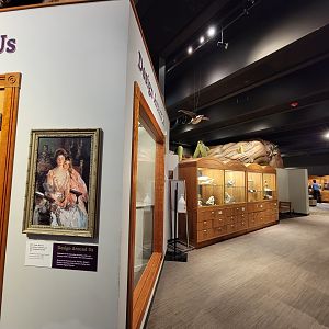 MOS Boston - Natural Mysteries