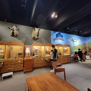 MOS Boston - Natural Mysteries, various skulls and drawers of specimens