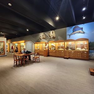 MOS Boston - Natural Mysteries