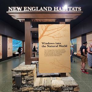 MOS Boston - New England Habitats