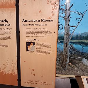 MOS Boston - New England Habitats, info examples