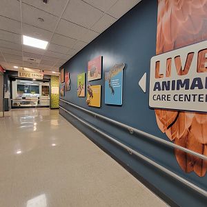 MOS Boston - Live Animal Lab, lower level (separate from rest of lower level)