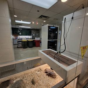 MOS Boston - Live Animal Lab, herps and work area