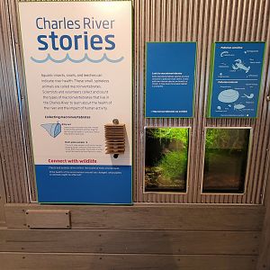 MOS Boston - Yawkey Gallery, macroinvertebrates