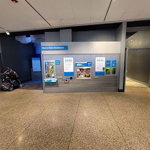 MOS Boston - Yawkey Gallery, Observe River Inhabitants