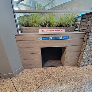 MOS Boston - Yawkey Gallery, Observe a sewer scene crawlspace