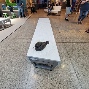 MOS Boston - Yawkey Gallery, cute benches with little sculptures