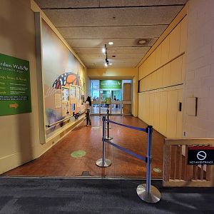 MOS Boston - Insect Zoo