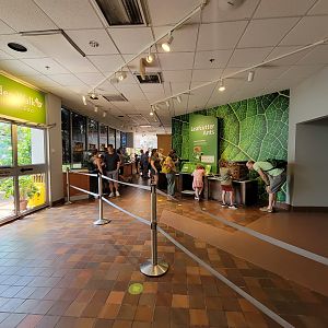 MOS Boston - Insect Zoo