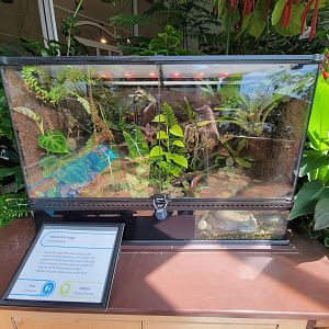 MOS Boston - Insect Zoo, PDFs