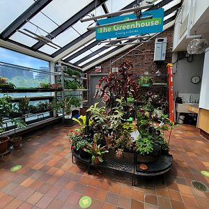 MOS Boston - Insect Zoo, garden walk