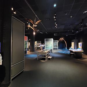 MOS Boston - NE Climate Stories