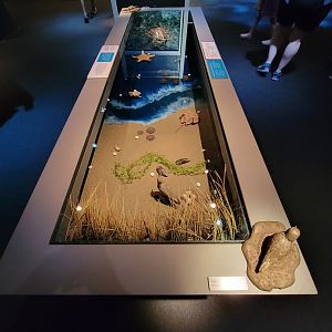 MOS Boston - NE Climate Stories