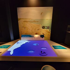 MOS Boston - NE Climate Stories, ocean climate impacts