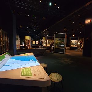 MOS Boston - NE Climate Stories