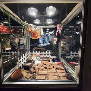 MOS Boston - NE Climate Stories, Norway rats