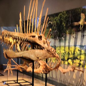 Saharan Sea Monsters