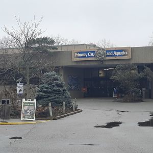 Primate, Cats and Aquatics