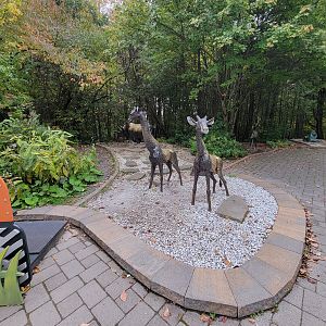 Parc Safari - Sculptures kids can sit on