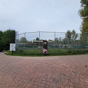 Parc Safari - Tunnel des Felins area