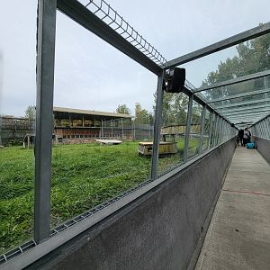 Parc Safari - Tunnel #2, lion exhibit #1