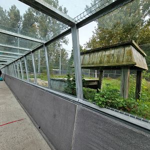 Parc Safari - Tunnel #2, lion exhibit #1