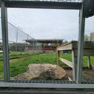 Parc Safari - Tunnel #2, lion yard #2