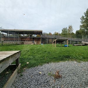 Parc Safari - Tunnel #2, lion yard #2