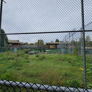 Parc Safari - Lion yard #1 from outside path