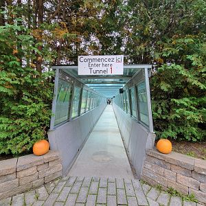 Parc Safari - Tunnel #1